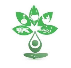 @bamsmedicos Ecosystem Avatar